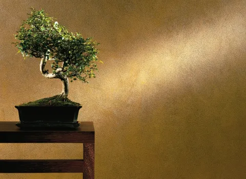 Edle Wandstruktur und feinkörniger Verputz im Wohnraum - Metallic Innenraumfarbe mit Pflanze auf einem Tisch